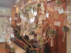 e_____troさんの画像2枚目