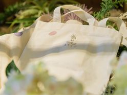 hana20.1107さんの画像2枚目