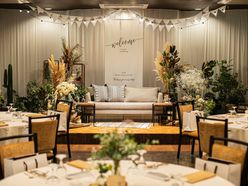 piii014さんの画像2枚目