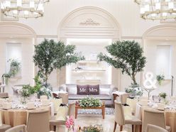 ayanee_wedさんの画像3枚目