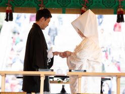 kamakurakonさんの画像1枚目