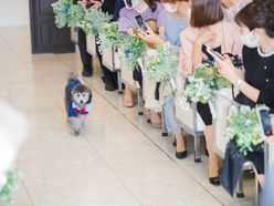 na_222wdさんの画像2枚目