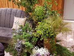 aaaaakikikikikiさんの画像3枚目