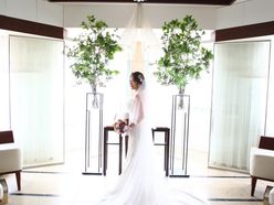 sknsokさんの画像3枚目