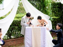 minakoさんの画像2枚目