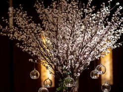 8do.wdさんの画像2枚目