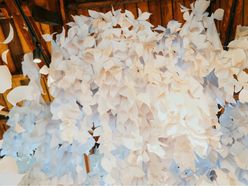 mina_oceanさんの画像2枚目