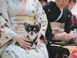 megwedding2020さんの画像2枚目