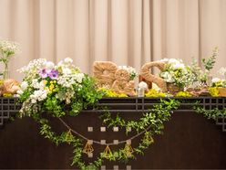 seika0415さんの画像3枚目