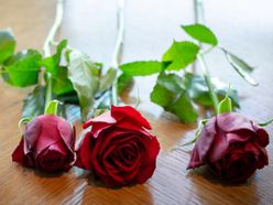 RIKAさんの画像1枚目