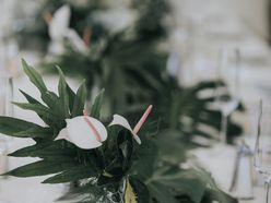 tookinn0221さんの画像3枚目