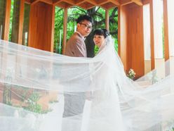 wd20210703さんの画像1枚目