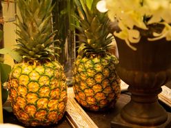 k12c03さんの画像2枚目