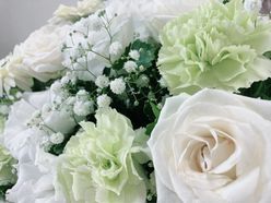 せいらさんの画像2枚目