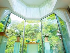 daisydaisy_wed1750さんの画像2枚目