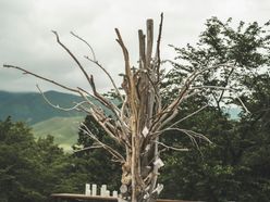 mskiiix_xさんの画像2枚目