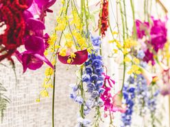 tokkytokkymaamさんの画像2枚目