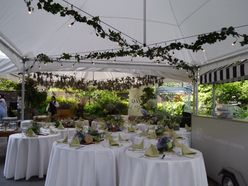 asukaさんの画像3枚目