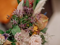 kaeru423さんの画像2枚目