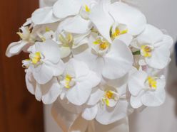 snm__tさんの画像3枚目