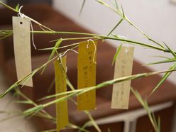 hqrumakiさんの画像2枚目