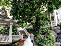 kanchan.628さんの画像1枚目