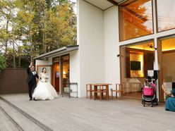 momo_sheltie3さんの画像2枚目