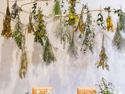 sprg__trunk_さんの画像3枚目