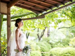 mmyk_wdさんの画像3枚目