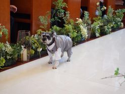 me1005_wdさんの画像2枚目