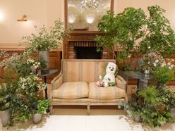 meimamaさんの画像3枚目