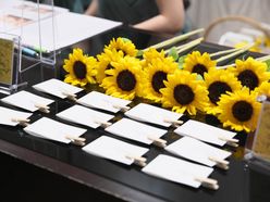 himawari_wd_724さんの画像2枚目