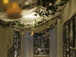 nz___1116さんの画像2枚目