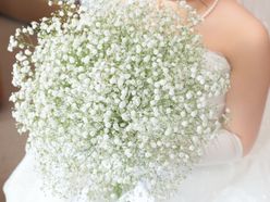 せいらさんの画像1枚目