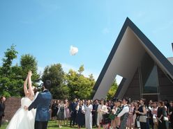 htomiiinさんの画像2枚目