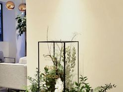 dory_trunkwedさんの画像2枚目