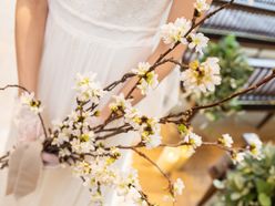 panpaaan_daさんの画像2枚目