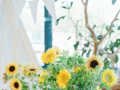 hwms725さんの画像3枚目