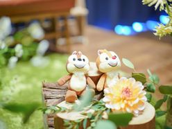 かなさんの画像2枚目