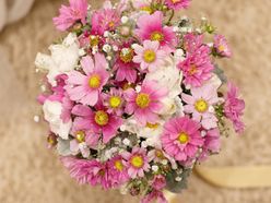 my_wd1026さんの画像3枚目