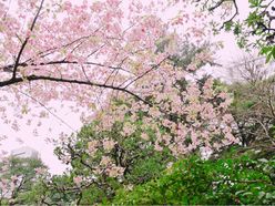 はるさんの画像2枚目