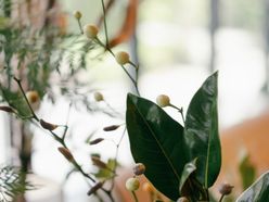 so___0928さんの画像2枚目