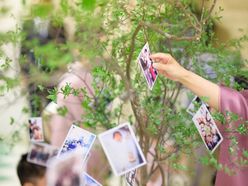 fukubride___さんの画像2枚目