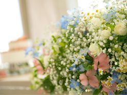 coconecoさんの画像3枚目