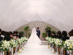 ch.iwddさんの画像1枚目