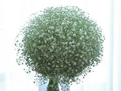 harukatatsukiさんの画像3枚目