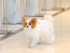 _miii_6さんの画像2枚目