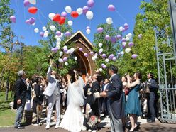 haru_wd_0902さんの画像2枚目