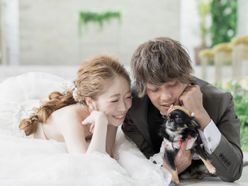 stp5353さんの画像1枚目