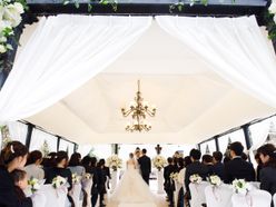 kuma_miiiさんの画像1枚目